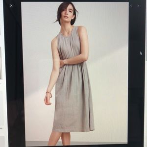 Aritzia Wilfred Looz Dress